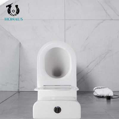 OEM Cyclone Flushing Two Piece Water Closet