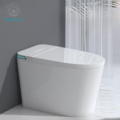 Modern Europe Smart Intelligent Toilet Instant Heat 680*420*500mm