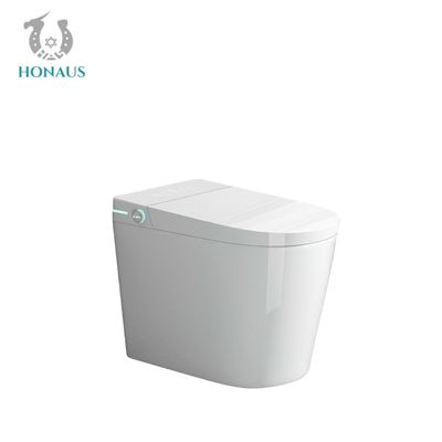 Auto Sensor Smart Intelligent Toilet Multifunctional Electric Water Closet
