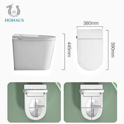 Auto Sensor Smart Intelligent Toilet Multifunctional Electric Water Closet