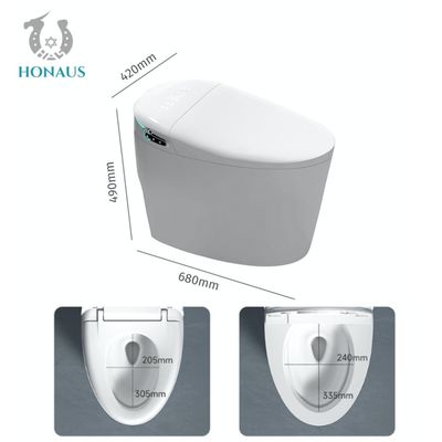Dubai Hotel Smart Intelligent Toilet Luxury Multi Cleaning Customized