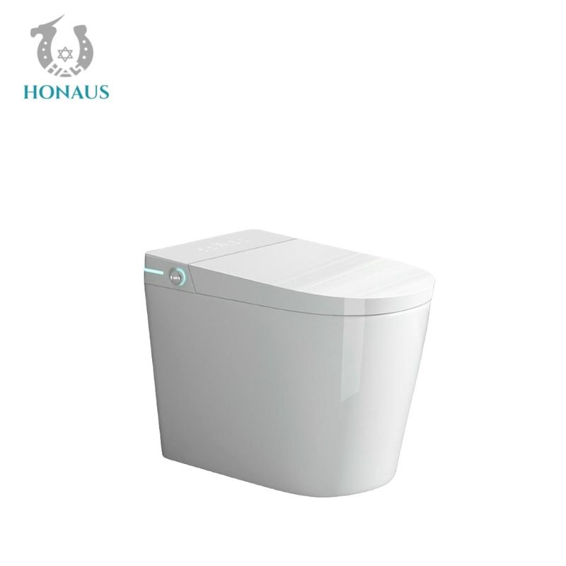 Auto Sensor Smart Intelligent Toilet Multifunctional Electric Water Closet